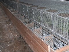 Nest boxes - Woodboxes metal nest and running boxes